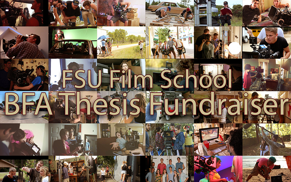 BFA Thesis Fundraising Campaign