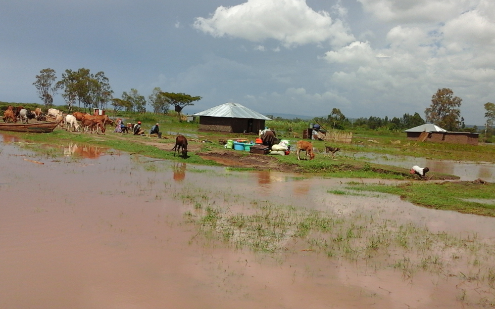 Water Filtration & Food Security