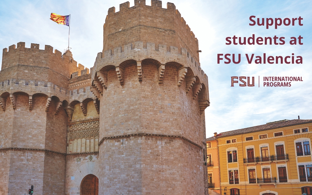 Support Students at FSU Valencia